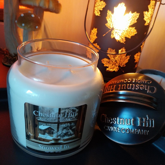 Bougie parfumée cire de soja 450g - SNOWED IN - Chestnut Hill candle company