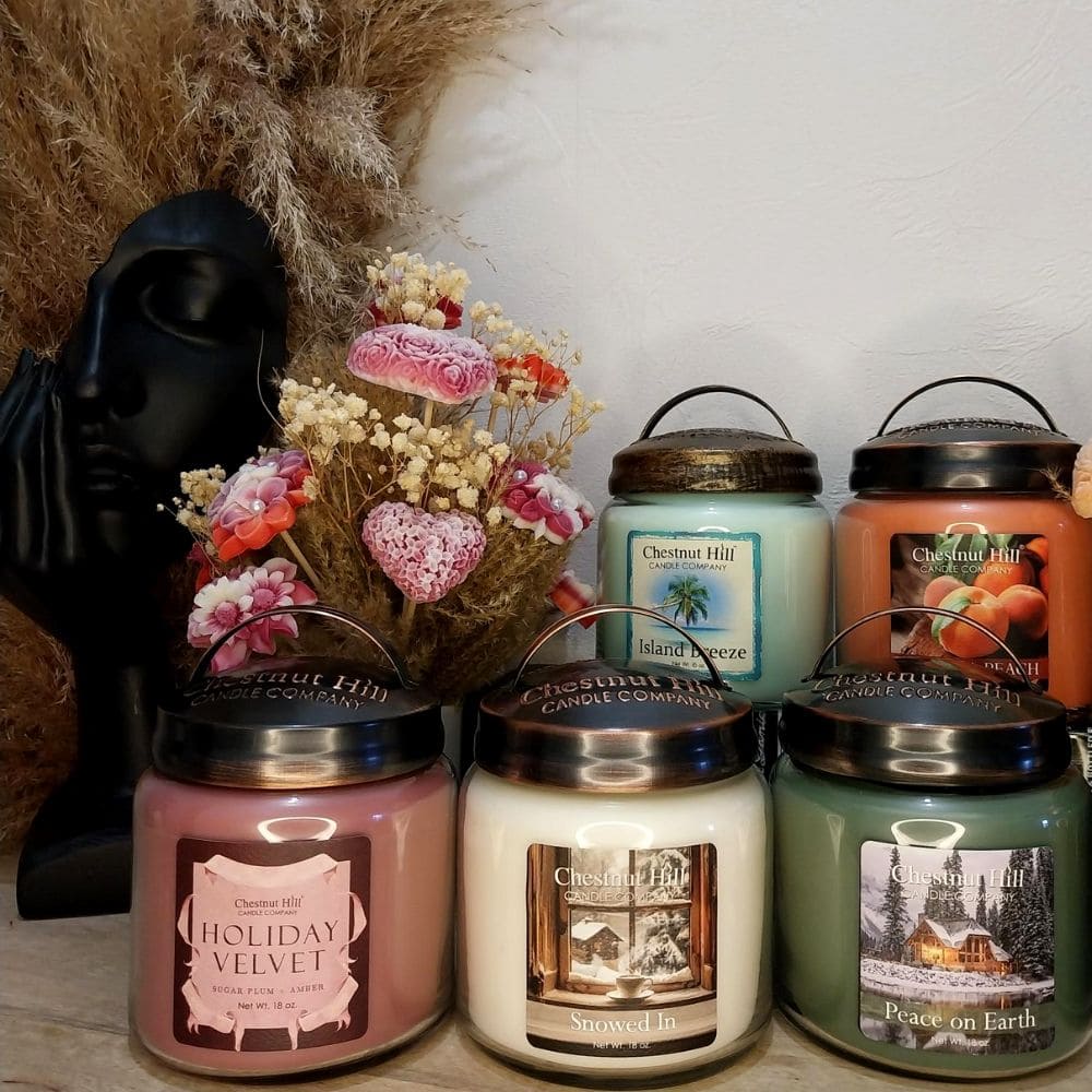 Bougie parfumée à la cire de soja 450g Chestnut Hill Candles