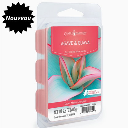 Cire parfumée classique AGAVE & GOYAVE 70g CANDLE WARMERS®