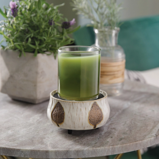 Lampe à parfum électrique 2 en 1 Bronze Leaf – Candle Warmers®