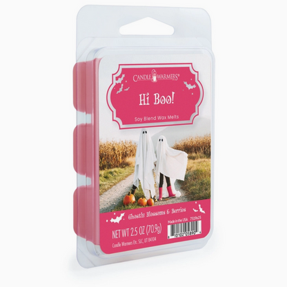 Cire parfumée Hi Boo ! 70g Candle Warmers®