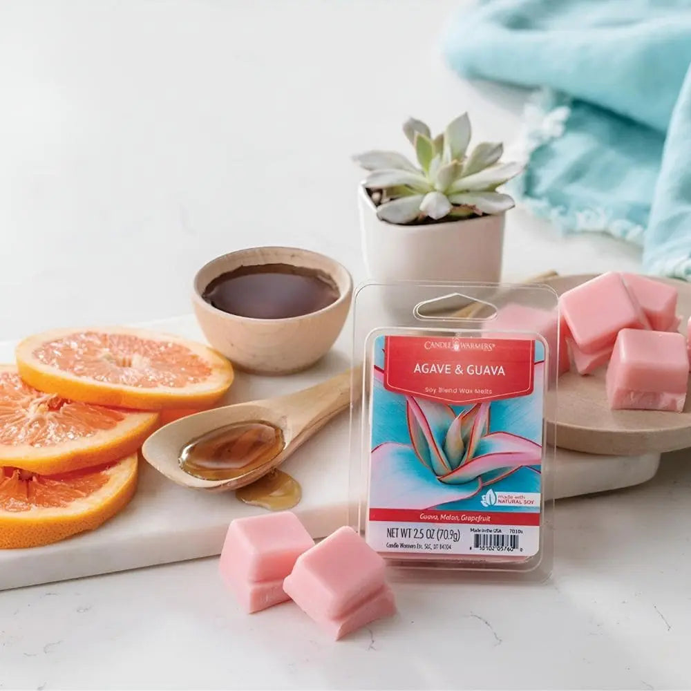 Fondant Agave & Goyave 70 g présenté avec illustration évoquant les parfums tropicaux et sucrés