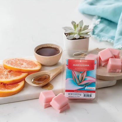 Fondant Agave & Goyave 70 g présenté avec illustration évoquant les parfums tropicaux et sucrés