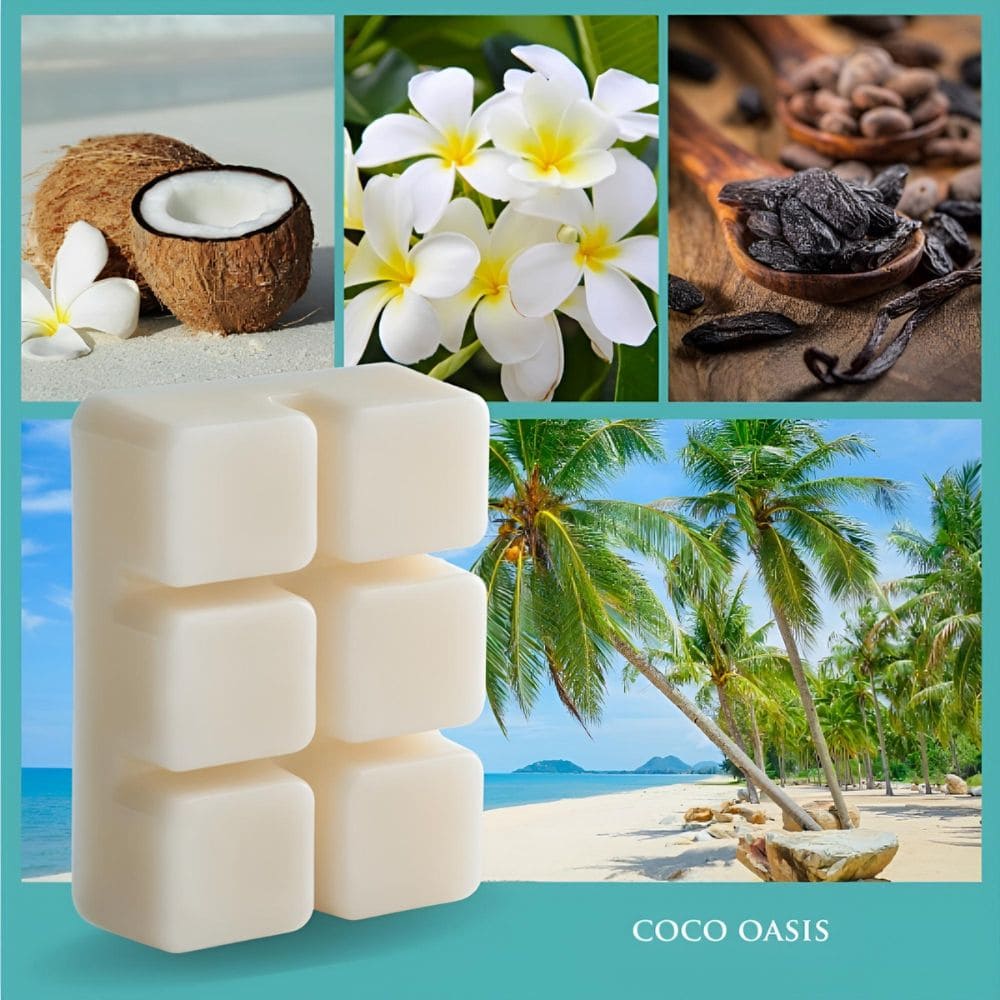 Fondant Coco Oasis 70 g avec illustration évoquant noix de coco, tiaré et tubéreuse pour une atmosphère chaleureuse et relaxante