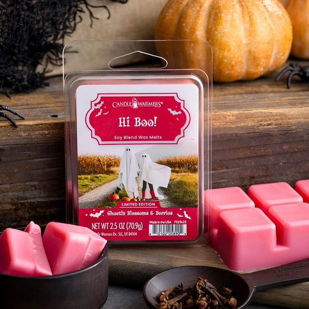 Fondant Hi Boo ! 70 g avec illustration des parfums fruités, floraux et boisés pour une atmosphère fantomatique et automnale