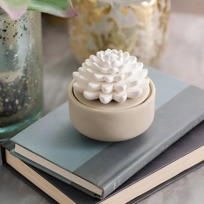 Diffuseur passif en céramique AIROME avec fleur en porcelaine SUCCULENT